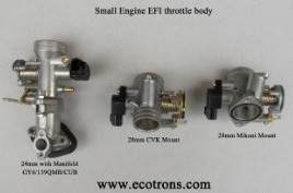 Throttle Body and Intake Manifold
